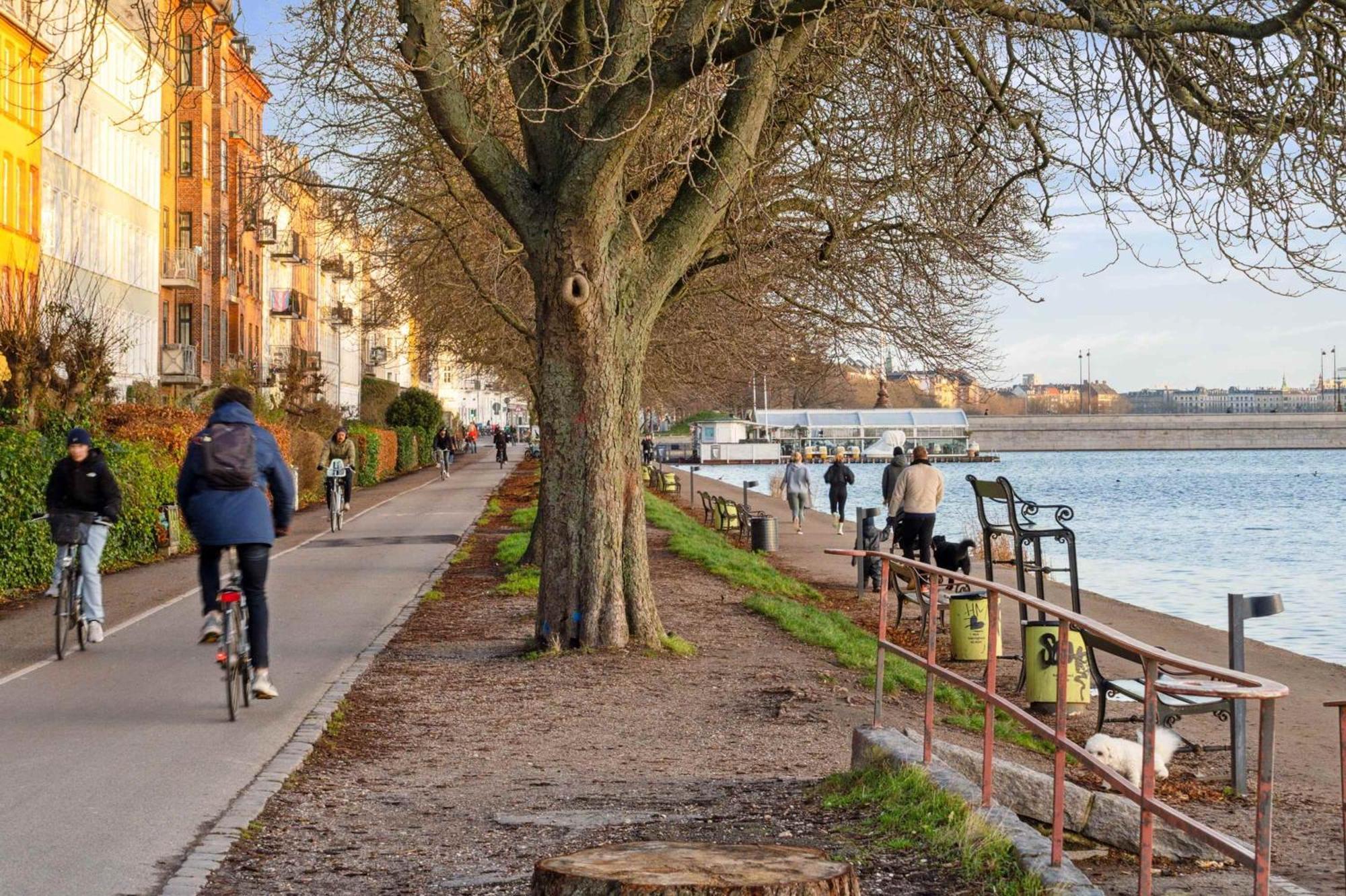 Modern Comfort In Copenhagen's Coolest District Kopenhagen